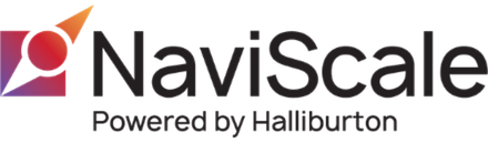 Naviscale logo