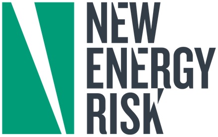New Energy Risk logo